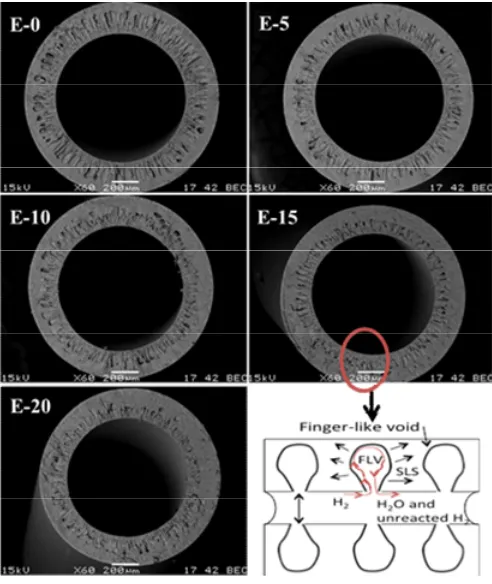 Fig. 4. MT- SOFCs performance with different anode structures [55]