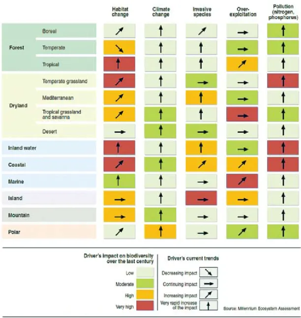 Figure 2.1: Impacts of drivers on biodiversity in different biomes during the last century 
