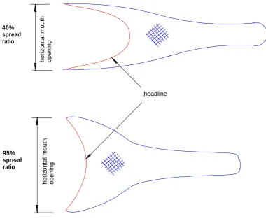 Fig. 1.11 The schematic examples of the netting part with 40% and 95% spread ratio. The spread ratio is defined as the percentage of the headline to the horizontal spread