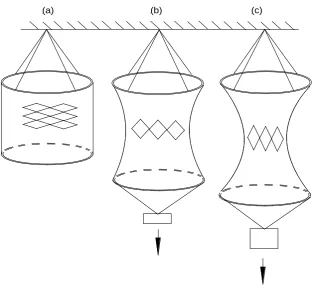 Fig. 3.4 A net attached to the hoops in transverse mesh orientation: (a) with no load applied (the weight of the net and the bottom hoop only); 