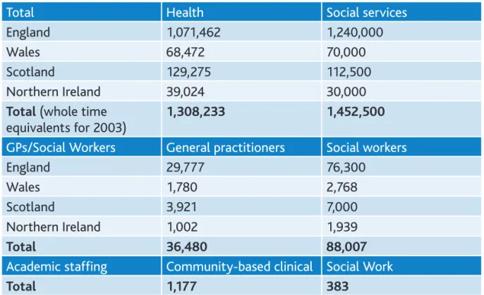 Table 3: Staffing total