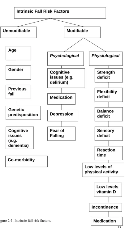 Figure 2-1. Intrinsic fall risk factors.   