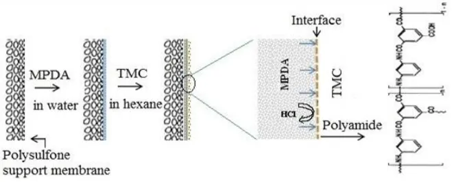 Fig. 1.  Schematic of IP technique for TFC membrane preparation.  