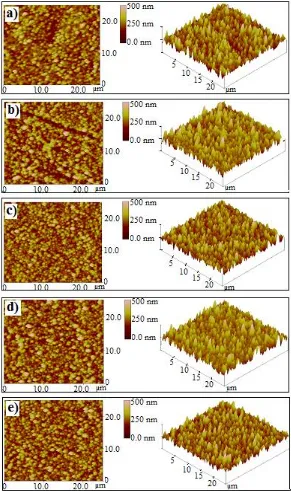 Fig. 6. 2D and 3D topography images obtained using AFM for TFC membranes prepared (a) in absence of AA, and in presence of AA like (b) SH (0.02 wt.%), (c) TSP (0.19 wt.%), (d) TEACSA salts (3.4 wt.%) and (e) TPP (0.15% wt.%)