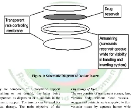 Figure 1: Schematic Diagram of Ocular Inserts 