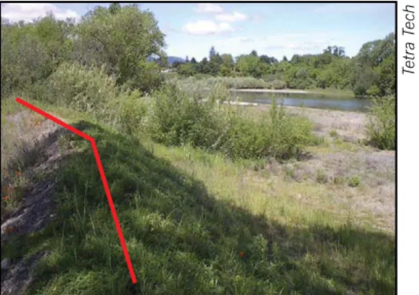 Figure 10. Vegetated berm used to prevent facility  inundation when the river is at flood stage.