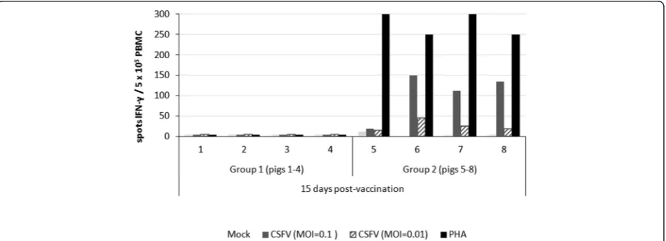 Figure 2 Clinical score values in CSFV persistently infected-vaccinated pigs. The individual clinical signs were recorded daily aftervaccination until 21 days post-vaccination