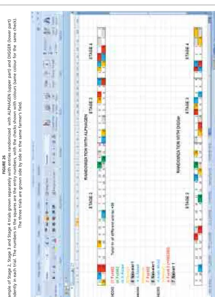 FIGURE 26��������������������