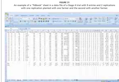 FIGURE 31An example of a “fldbook” sheet in a data file of a Stage 4 trial with 9 entries and 2 replications  