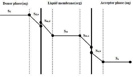 Fig. 2. Profile concentration in SLM [5]. 