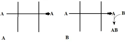 Fig. 4. Transport mechanisms: (a) simple transport, (b) co-current coupled transport and (c) counter-current transport