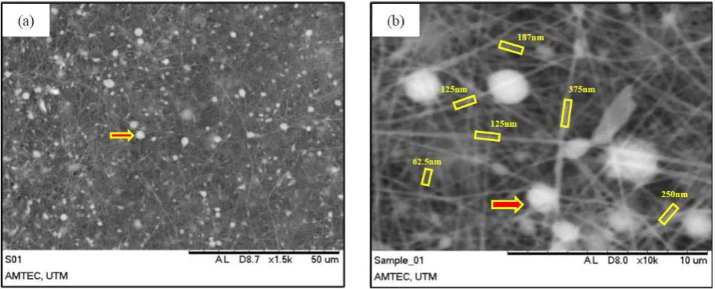 Fig. 4.  SEM images of Cloisite15A® nanofiber with (a) low magnification, 1.5k, and (b) higher magnification, 10k