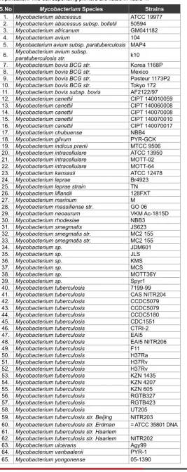 Table 2: Mycobacterium strains validated using virtual in silico PCR amplification. The corresponding primers are listed in Table 1.