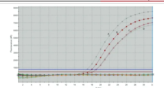 Figure 1: Real time PCR of a unique IS900 target sequence amplified from two M. avium subsp