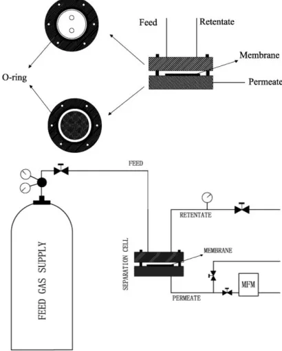 Fig. 1. Schematic of membrane module and permeation test.   