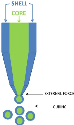 Fig. 2.  Schematic presentation of the spray drying process. 