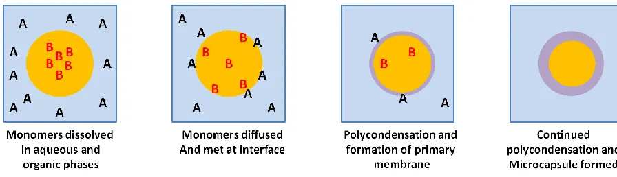 Fig. 5. Schematic presentation of the polycondensation formation of shells around emulsion droplets