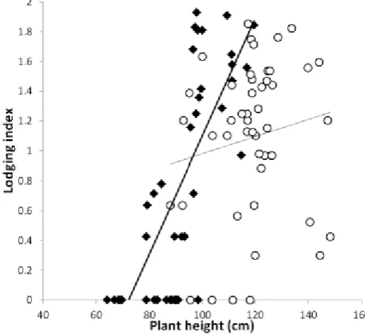 Figure 1: Taller plants increase lodging risk.  Data from 2009/2010 (in black) and 2011/2012 (in white)