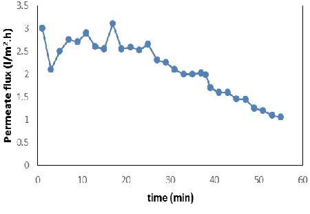 Fig. 2. Permeate flux versus time. 