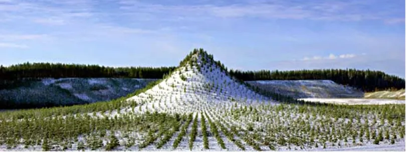 Figure 7. Agnes Denes, Tree Mountain – A Living Time Capsule 10,000 Trees, 10,000 People, 400 Years, 1982, Pinsio gravel pits, Ylojarvi, Finland