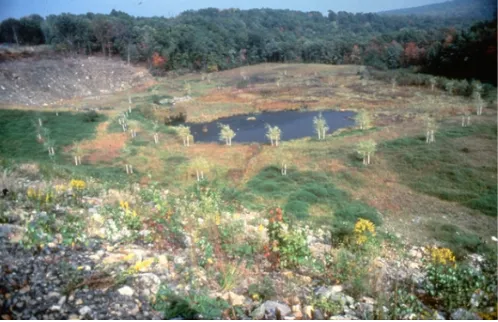 Figure 12. Harriet Feigenbaum, Erosion and Sedimentation Plan for Red Ash and Coal Silt Area - Willow Rings, planted 1985, willow trees on 6 hectares, Scranton, Pensylvannia