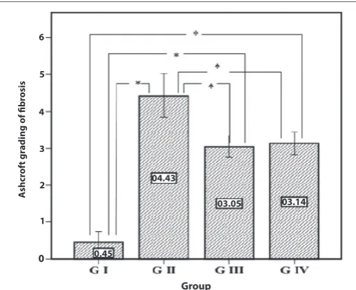 Figure 1: Descriptive data of Ashcroft grading of fibrosis results. Plotted values represent the arithmetic mean, and error bars represent the standard deviation