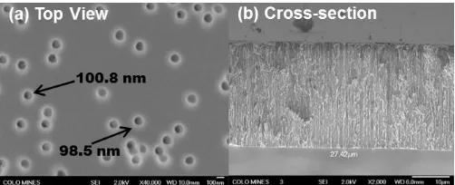 Fig. 1. (a) Top view and (b) cross-section SEM micrographs of uncoated TE membrane supports
