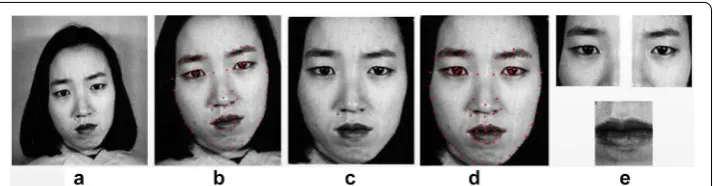 Fig. 2 Processing of data, and landmark detection, detection after rotation correction and spatial normalization, a the original image from JAFFE database, b face area after face detection c face area after rotation correction and spatial normalization, d facial landmark e optimized active regions