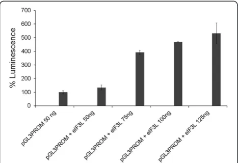 Figure 9 Effect of eIF3L expression on general translation.HeLa cells were cotransfected with pCDNAFlag-eIF3L and pGL3promoter plasmids in a dose-dependent manner