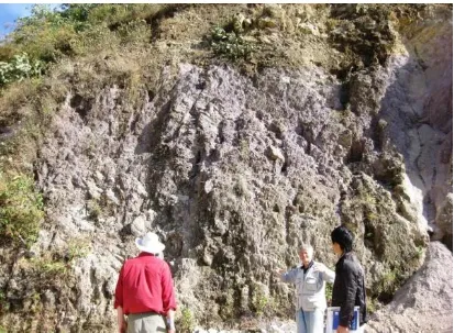 Figure 27. Paleozoic CAL Mélange in Pingzhang, showing magmatic rock cobbles in a mud matrix