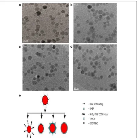 Fig. 1 Transmission electron microscopy (TEM) micrograph showing image of (SPMNP by ligand addition method; representation of different types of SPMNPs