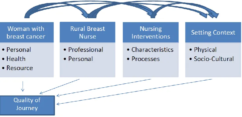 Figure 1: A diagramatic representation of Sidani and Braden’s approach (1998) 
