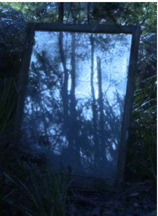 Figure 2: Chris Morgan, Tissue/Mache/Membrane, 2011 