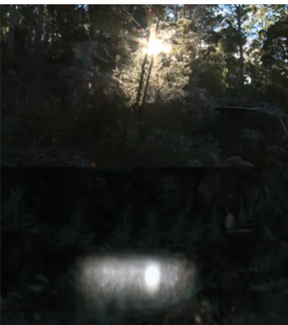 Figure 3: Chris Morgan, Two Lights, 2010, Digital Photograph                      