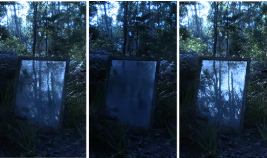 Figure 5: Chris Morgan, Stages in Light, 2010 Digital Photograph. 