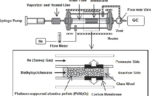 Fig. 14. Schematic view of the carbon membrane reactor and experiment system [62].  