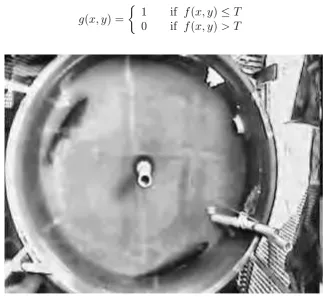 Figure 3.1: Grey-scale, unthresholded image