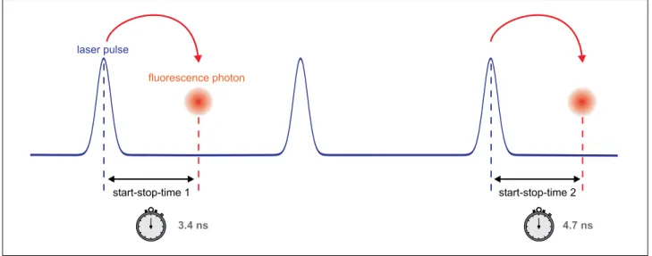 Figure 1: Measurement of start-stop times in time-resolved fluorescence measurement with TCSPC
