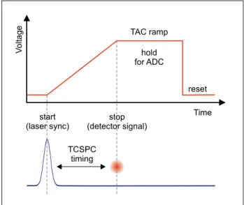 Figure 6: Typical train of PMT pulses and the CFD’s discriminator 