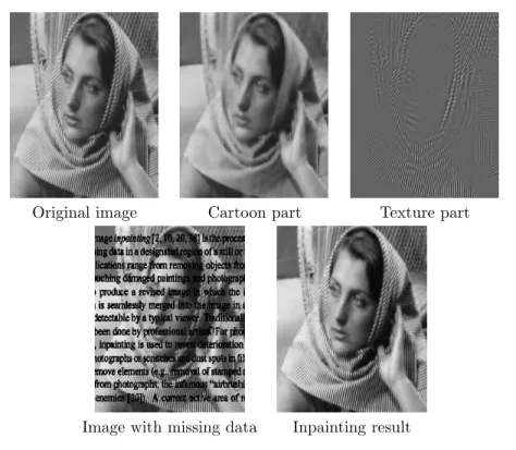 Fig. 6 Top row: MCA for image separation to texture and cartoon [148, 147]. Bottom row: Image inpainting—ﬁlling in missing pixels (the text) in the image [68].