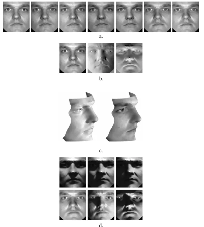 Figure 5: The process of constructing the illumination cone: a. The seven training images from Subset 1 (near frontal illumination) in frontal pose; b