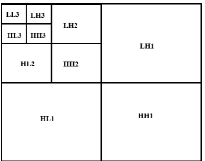 Figure 1. Three level 2D DWT image dissolution 