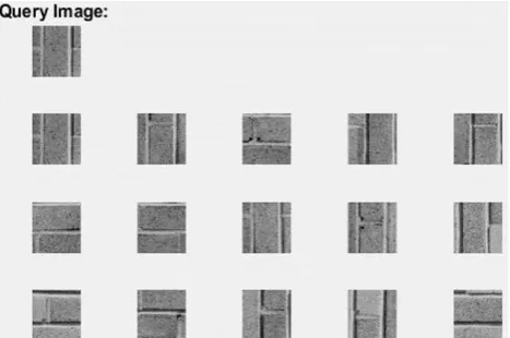 Figure 7. Retrieval result of a query image from Brodatz dataset 