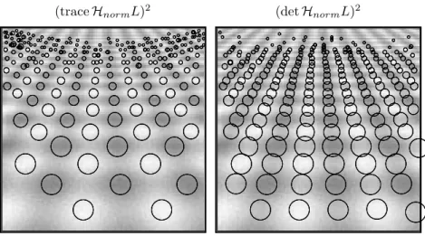 Figure 4: The 250 most significant normalized scale-space extrema detected from the per- per-spective projection of a sine wave of the form (with 10% added Gaussian noise).