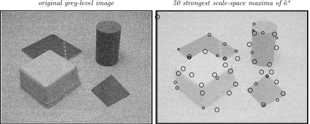 Figure 8: Junction detection with automatic scale selection: The result of computing the 50 most significant normalized scale-space extrema of ˜ κ 2 norm from a grey-level image containing sharp straight edges as well as diffuse and rounded edges (with γ =