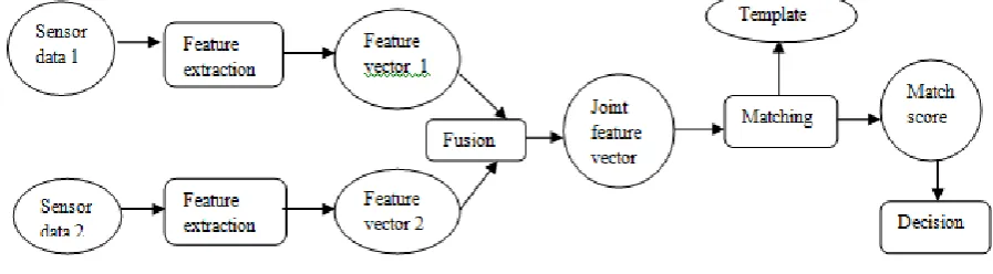 Figure 1.3: Fusion at sensor level  