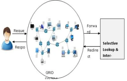 Figure 4. Architecture of selective lookup and interconnection of Grid 