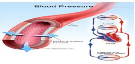 Fig. 1.3: Blood pressure 