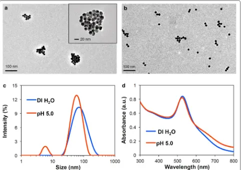 Fig. 3 Characterization of Au NCs. Acid‑responsive changes in size and morphology of Au NCs incubated in DI water and 100 mM acetate buffer (pH 5.0) at 37 °C for 2 h, confirmed by TEM (a DI water; b pH 5.0), DLS (c), and UV–Vis spectra (d)