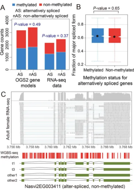 Figure 4. DNA methylation and alternative splicing. (A) Countsof alternatively spliced and non-alternatively spliced genes withdifferent methylation status from OGS2 gene models (left) and RNA-seq data (right)